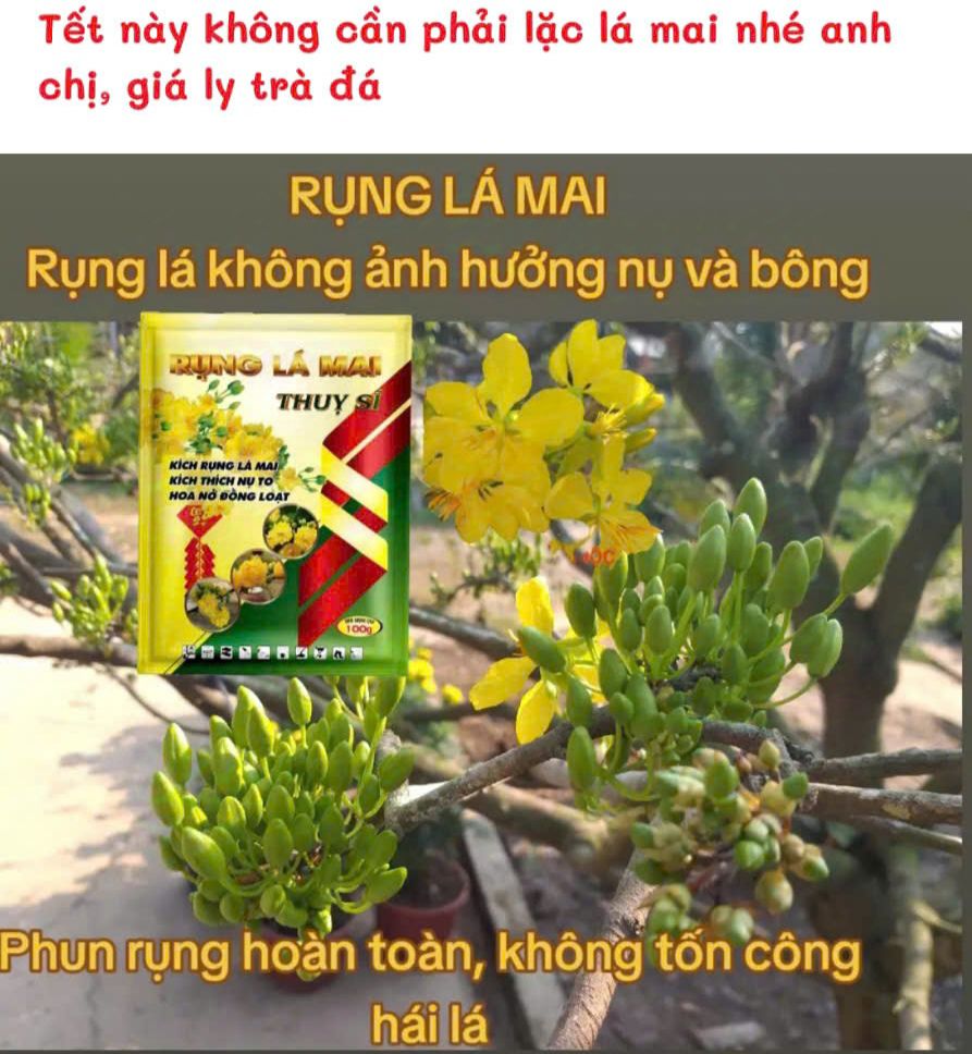 Giống cây trồng