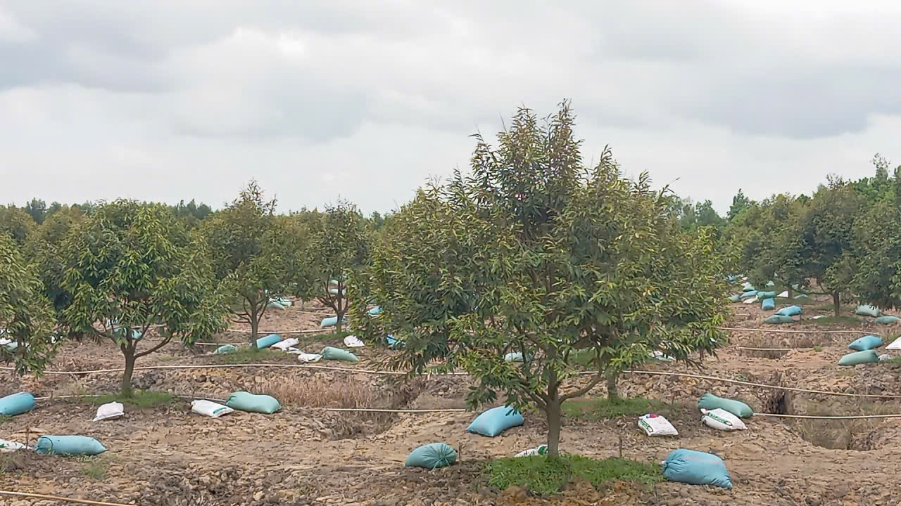 This Leader in Organic Agriculture Growth