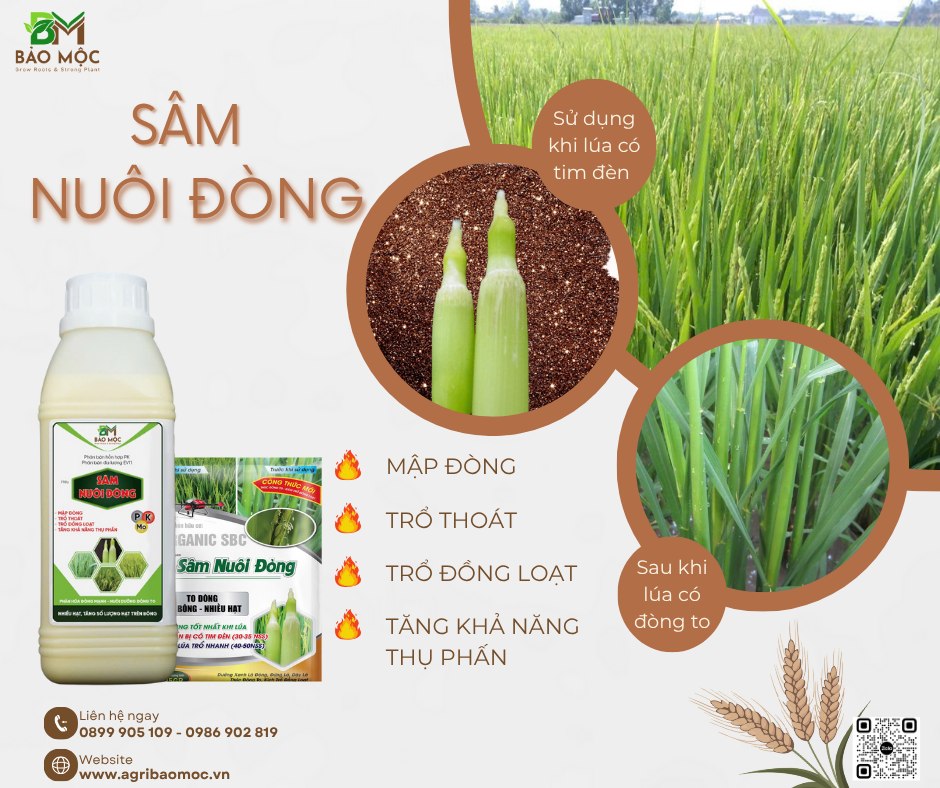 This Leader in Organic Agriculture Growth