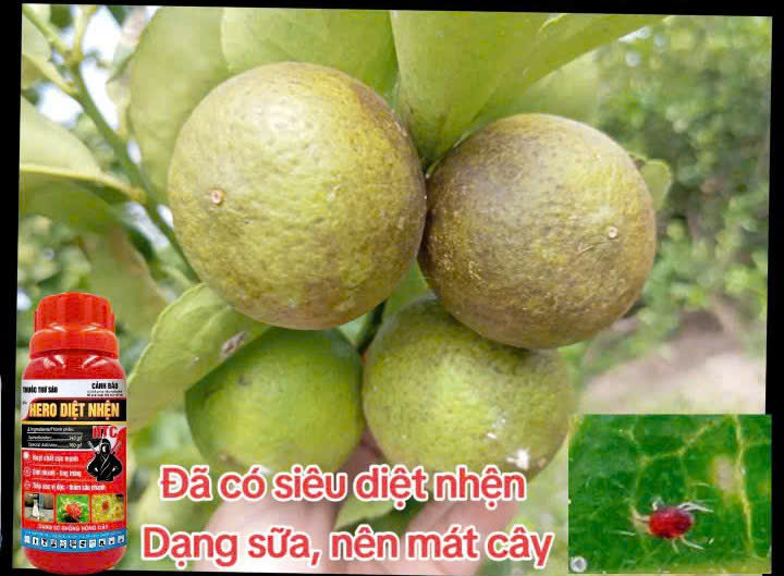 This Leader in Organic Agriculture Growth